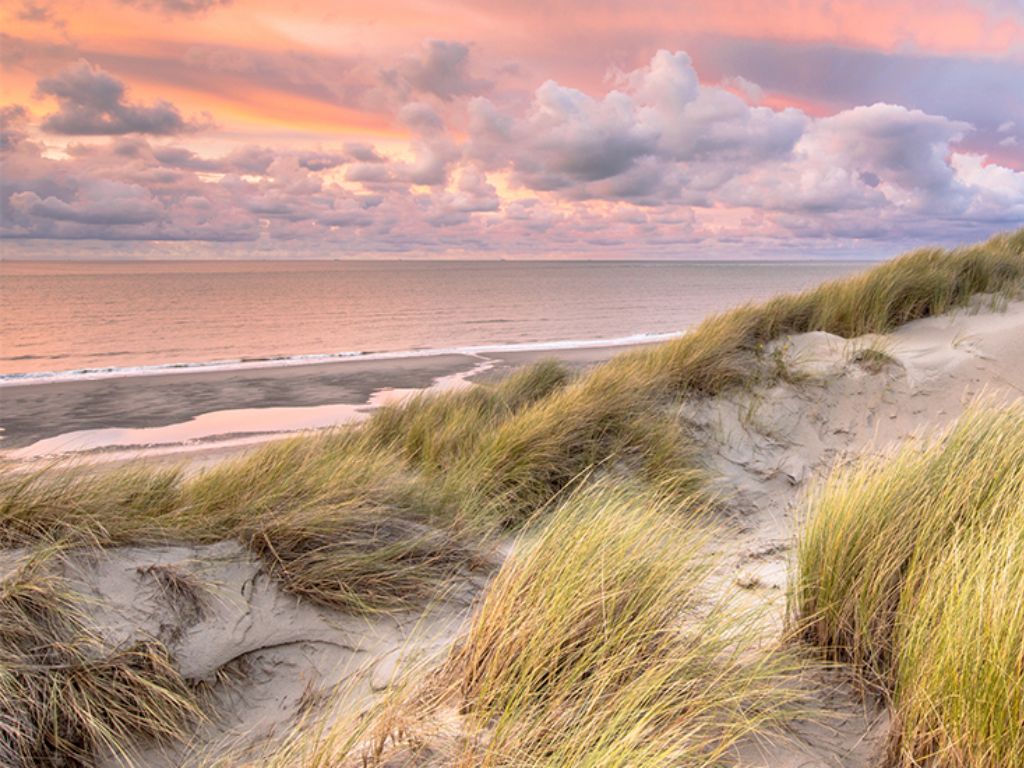 Inspiratie voor leuke babyshower locaties