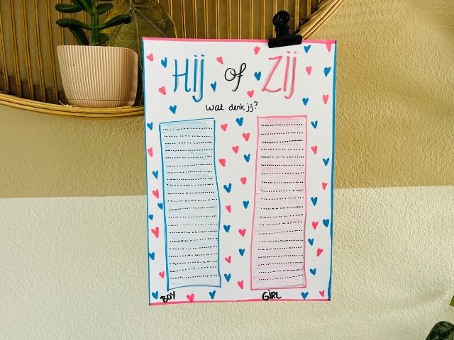 DIY: Maak zelf een Hij of Zij poster voor jullie Gender Reveal feest